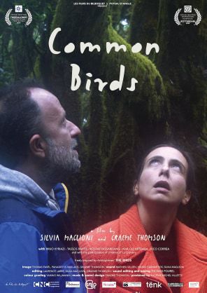 Common_Birds_La-Gomera_Film-Commission